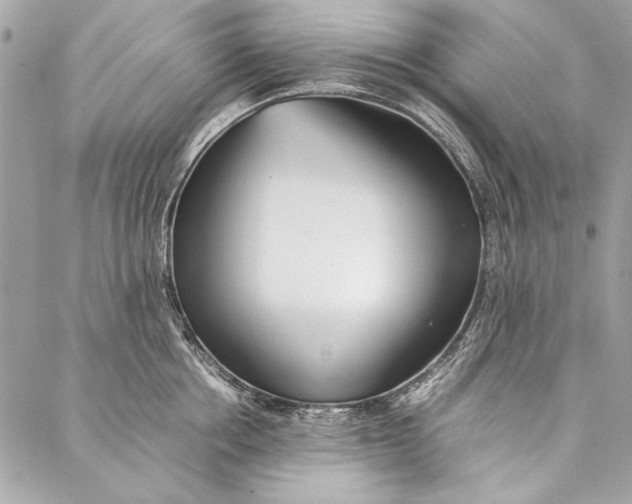 X0000086920858200705071326