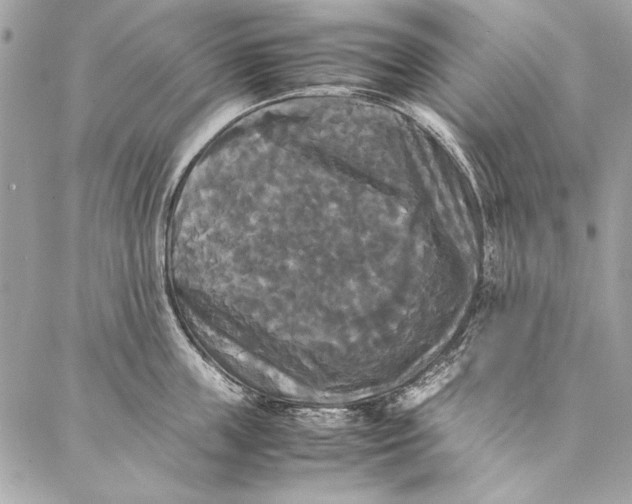 X0000086920859200705071326