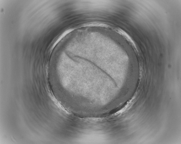 X0000086920860200705071326