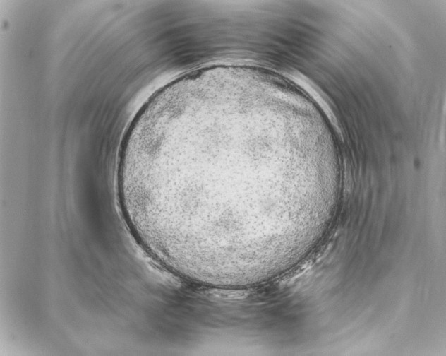 X0000086920861200705071326