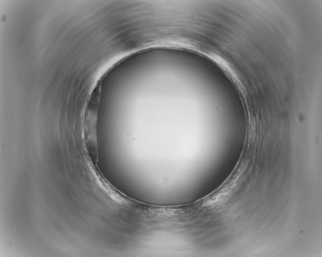 X0000086920862200705071326