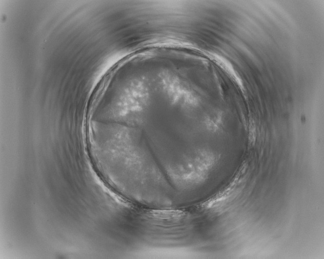 X0000086920863200705071326