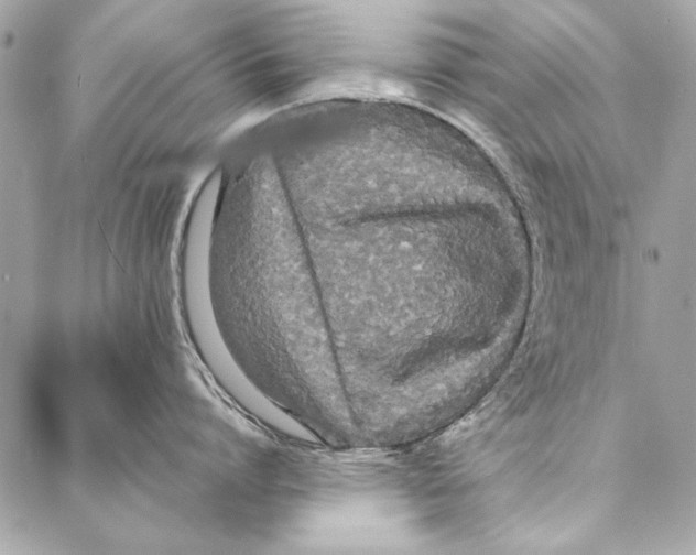 X0000086920864200705071326