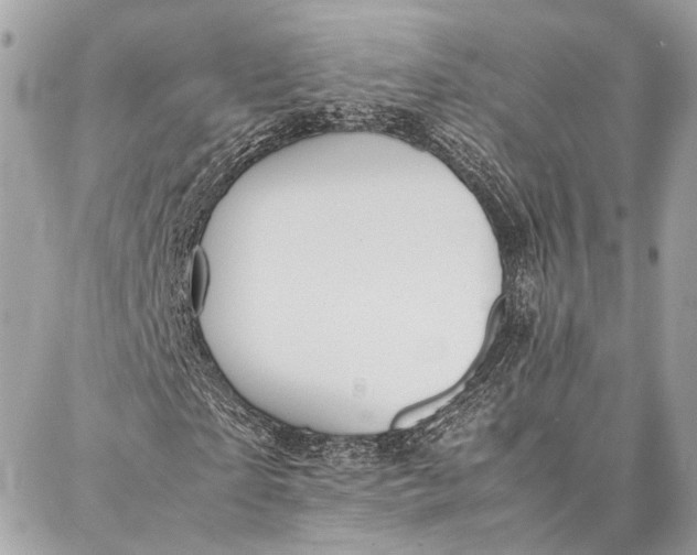 X0000086920865200705071325