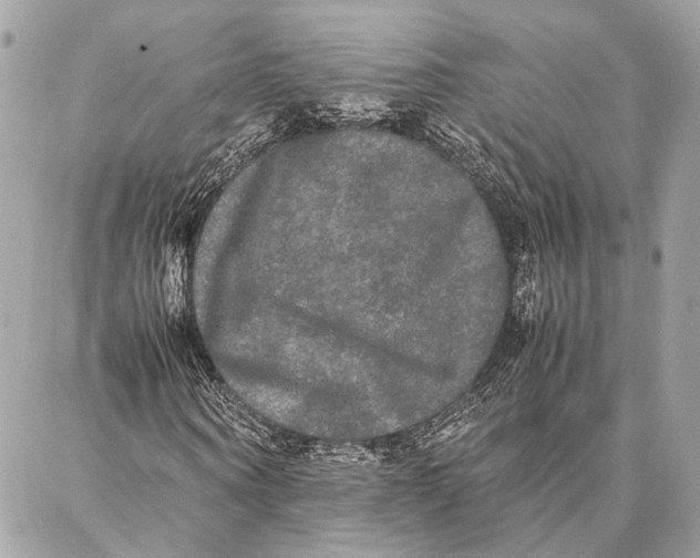 X0000086920866200705071325