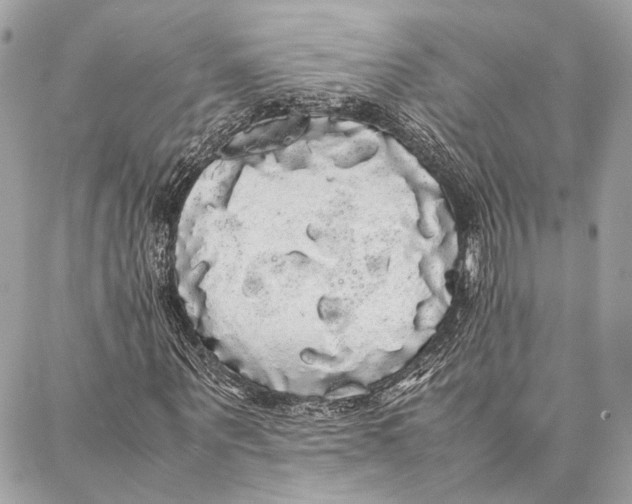 X0000086920867200705071325