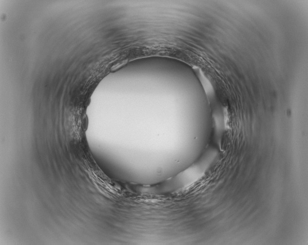 X0000086920868200705071325