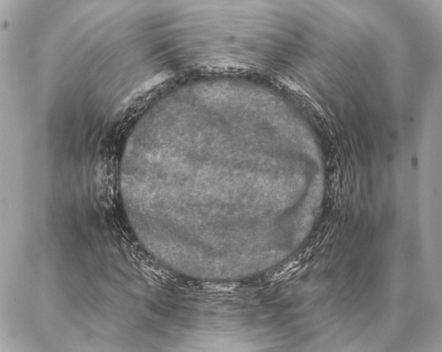 X0000086920870200705071325