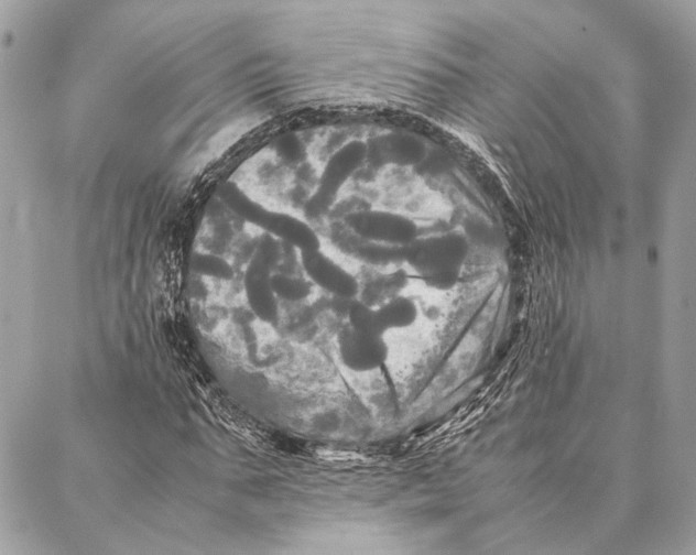 X0000086920871200705071325