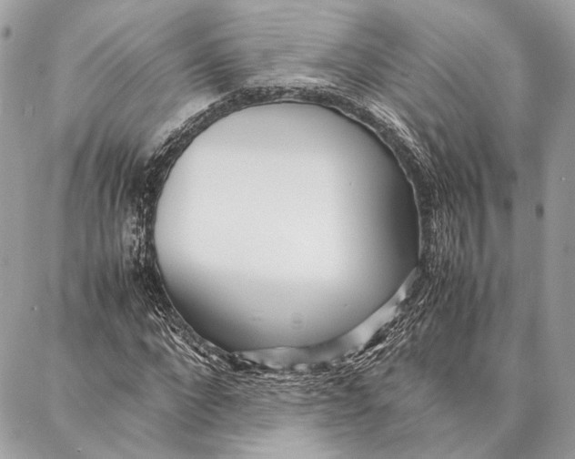 X0000086920872200705071325