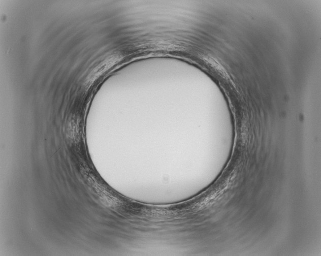 X0000086920873200705071325