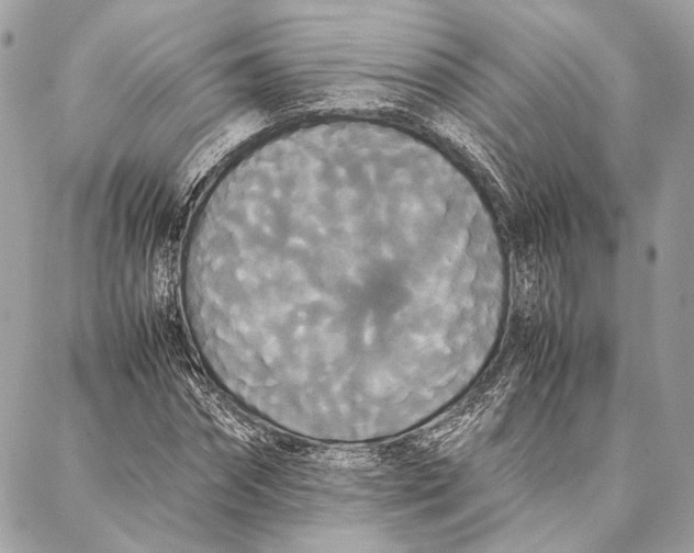 X0000086920874200705071325