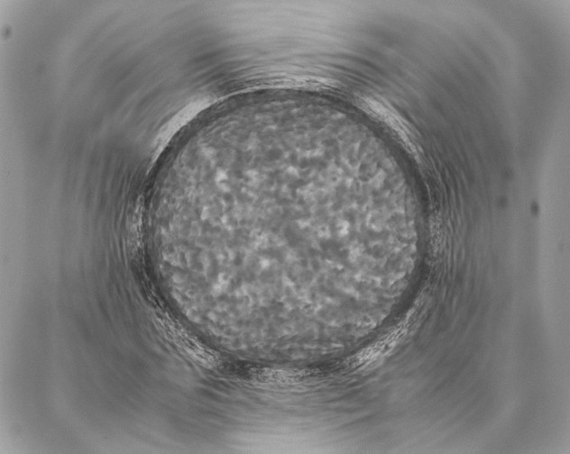 X0000086920875200705071325