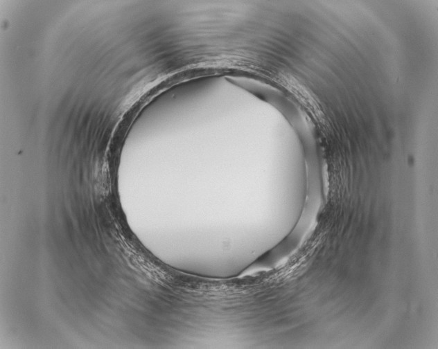 X0000086920876200705071325