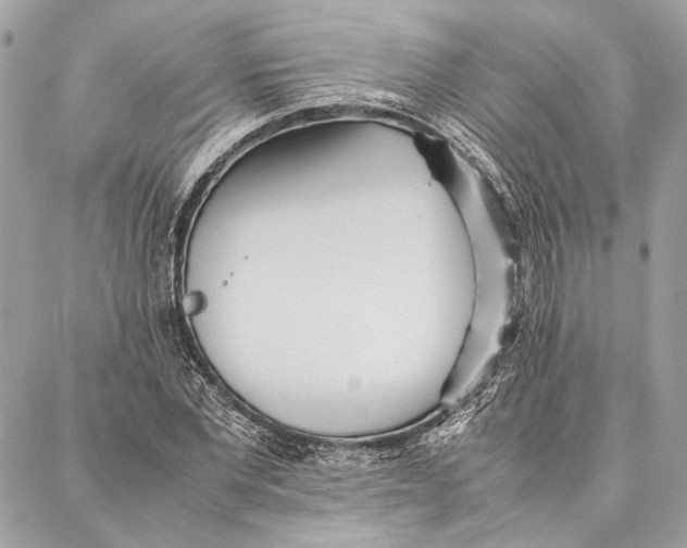 X0000086920877200705071325