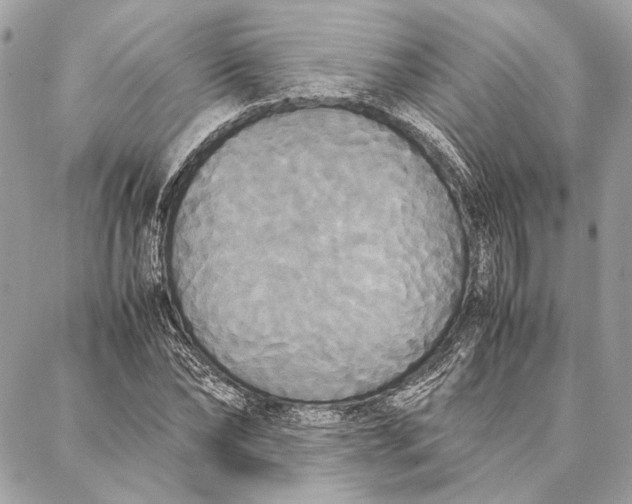 X0000086920878200705071325