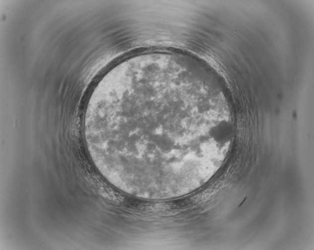 X0000086920879200705071325