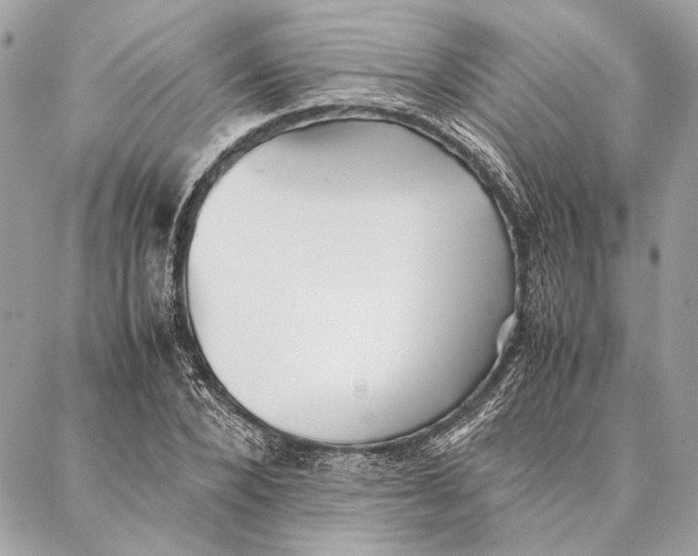 X0000086920880200705071325