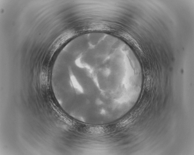 X0000086920882200705071325