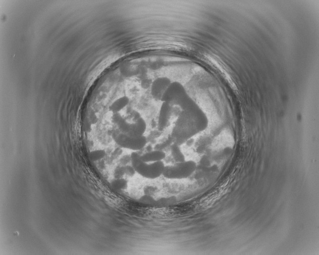 X0000086920883200705071325