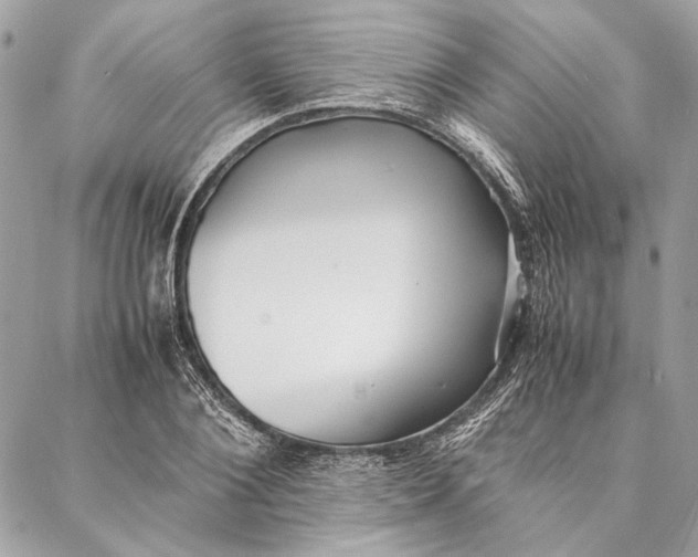 X0000086920884200705071325