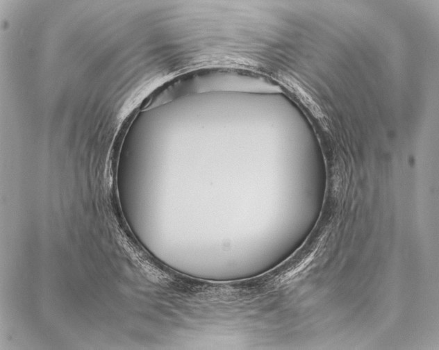 X0000086920885200705071325