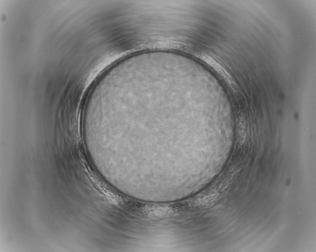 X0000086920886200705071325