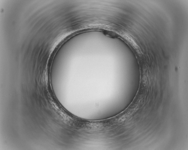 X0000086920888200705071325