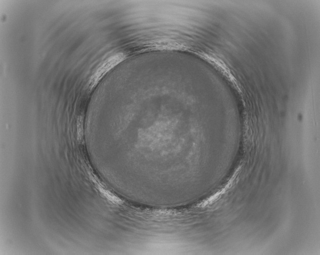 X0000086920889200705071325