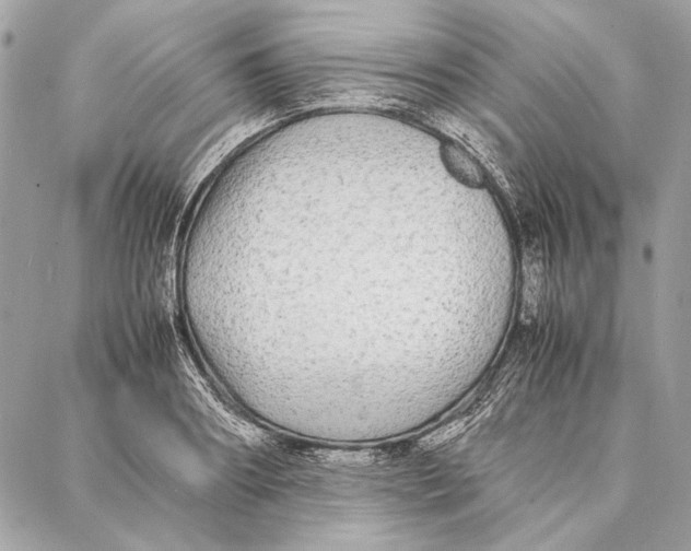 X0000086920890200705071325