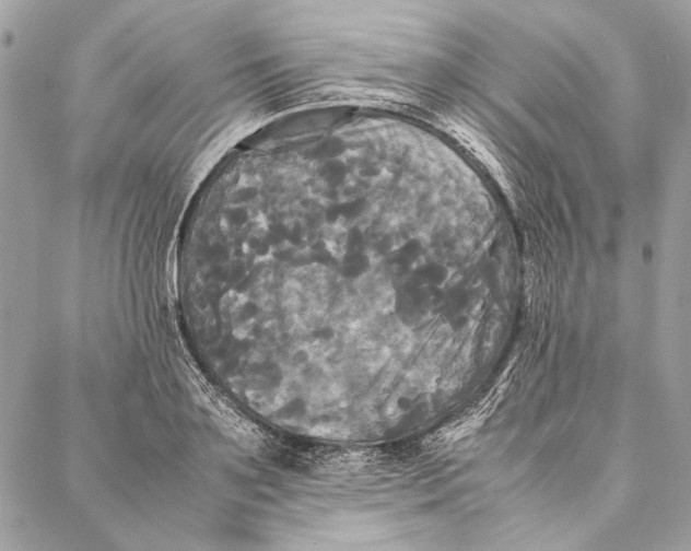 X0000086920891200705071325