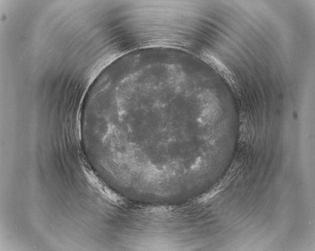 X0000086920892200705071325