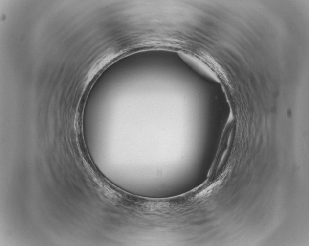 X0000086920893200705071325