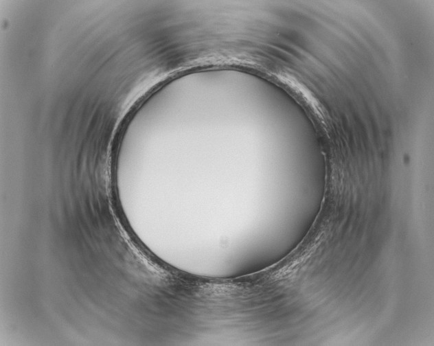 X0000086920894200705071325