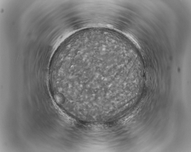 X0000086920895200705071325