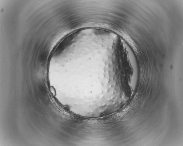 X0000086920896200705071325