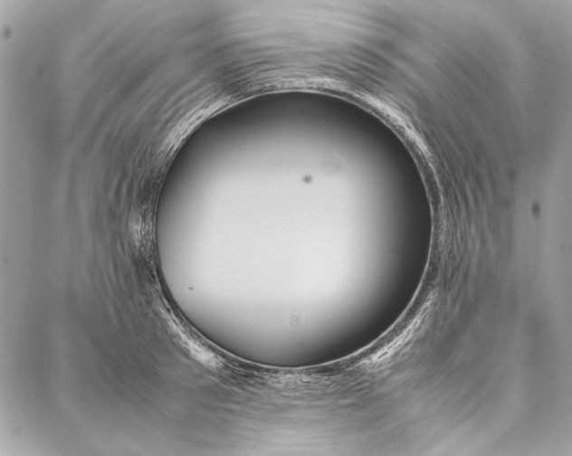 X0000086920897200705071325