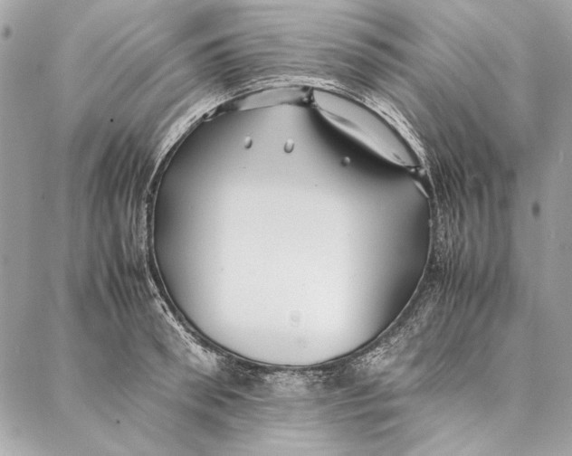 X0000086920898200705071325