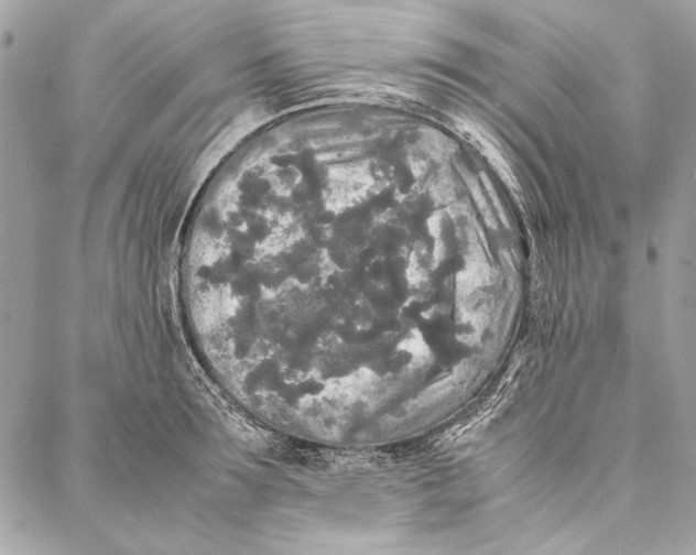 X0000086920899200705071325