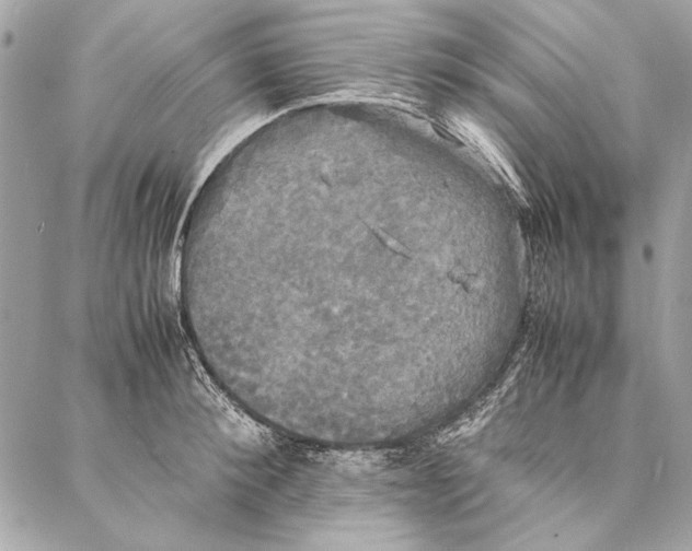 X0000086920900200705071325