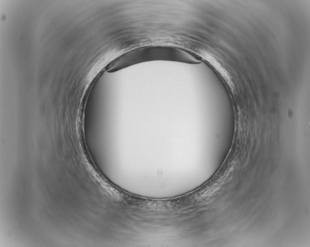 X0000086920901200705071325