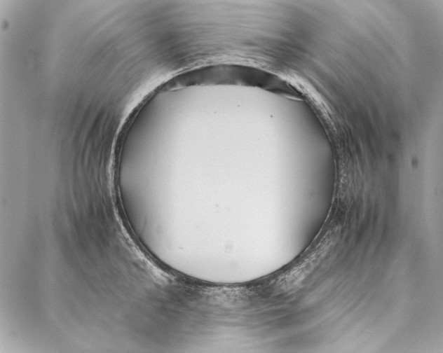 X0000086920902200705071325