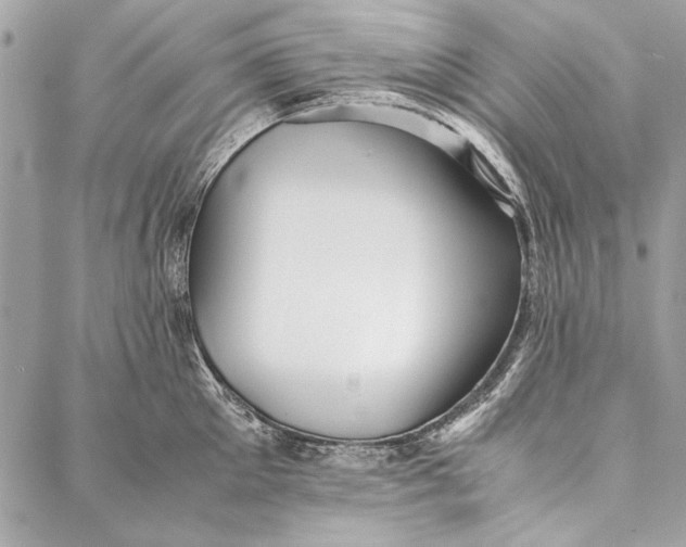 X0000086920905200705071325