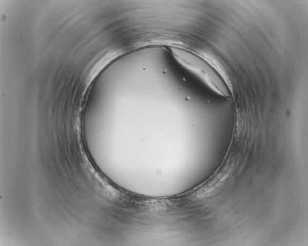 X0000086920906200705071325