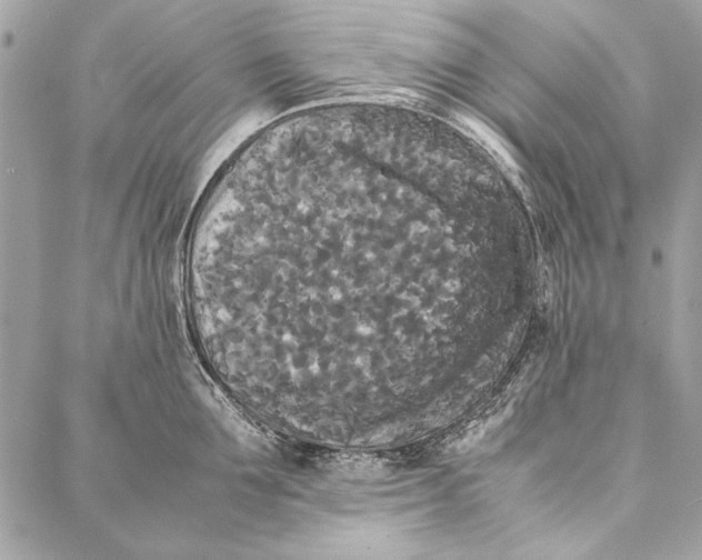 X0000086920907200705071325