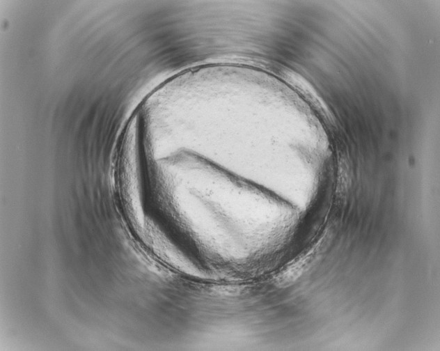 X0000086920908200705071325