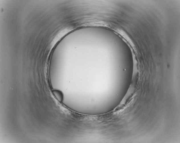 X0000086920909200705071325