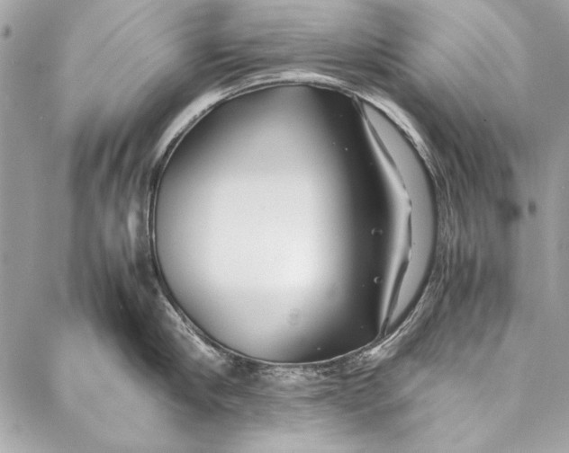 X0000086920910200705071325