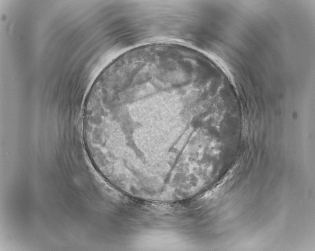 X0000086920911200705071325