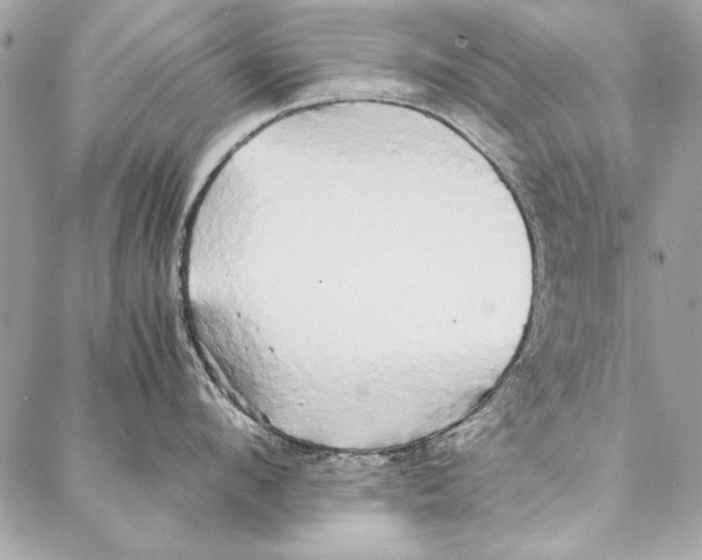 X0000086920912200705071325